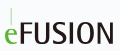 株式会社eFUSION